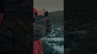 Ca&ccedil;a do apti - Alasca selvagem