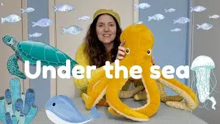 Under the Sea with Sally - Kids' learning video 🐠 🐟 🐬