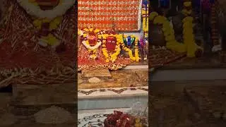 ✨️जय माता दी👏 Cannon R6 mark 2