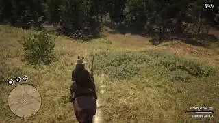 High lonesome Outlaw: RDR2. CHP 2, Limited Resources. Pt5