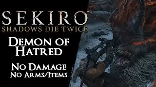 Demon of Hatred - Base Vitality【No Damage, Prosthetic Arm, Arts, Items】