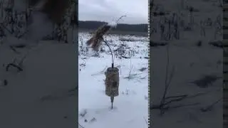 приманка на хищника MOJO Critter