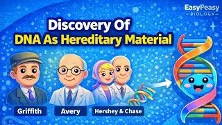 Discovery Of DNA As Hereditary Material/ Frederick Griffith's / MacCarty, Macleod, Avery Experiment