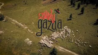 Székely Gazda 2025. július 19.