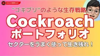 【ポートフォリオ】しぶとい生存戦略：Cockroach(ゴキブリ)ポートフォリオ！株式60%でも下落に強く上手なセクター選定をで生き残る！
