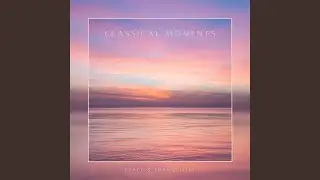 Beethoven: Piano Sonata No. 14 in C-Sharp Minor, Op. 27 No. 2 