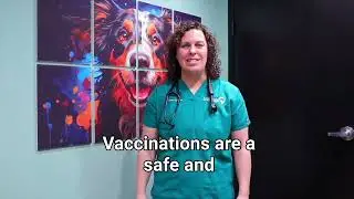 Pet Vaccinations
