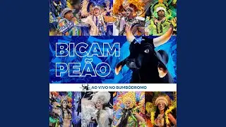 Tuiçaua – A Dança das Morubixabas (Ao Vivo)