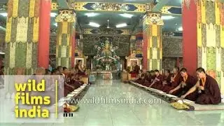 Buddhist monks pray during an evening congregation at Mindrolling Monastery