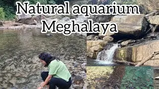 Assam to Wari Chora Road trip | Part-A | Jadishil fish century in South Garo Hill