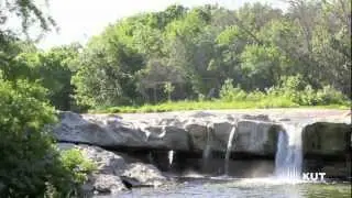 Get Involved: Austin Youth River Watch