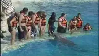 Sea Life Park Hawaii