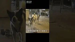 正生書院關停後如同鬼舍 人去樓空