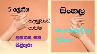 5 ශ්‍රේණිය - සිංහල - පළමුවැනි පාඩම - “මහපටැඟිල්ලක අරුමය” අභ්‍යාස සහ විසඳුම්