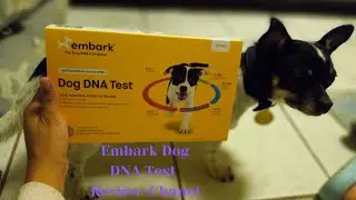 Embark Dog DNA Test Review~Chanel