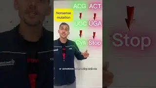 Mutations (AP Bio 6.7) in one minute! #apbio #apbiology #collegebiology #study