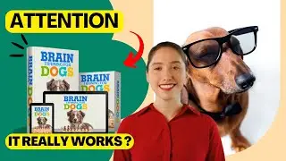 ⚠️ALERT ⚠️- Dangerous Dog Behavior That's Ruining Your Relationship ?🐶