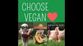 The Top Ten Reasons Why Being Vegan is Good for the Environment