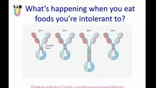Food Intolerance Testing & Why You Need It