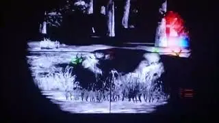 hunting but my storage is bad and end the vid