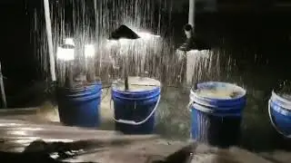 Landscape Light IP66 Waterproof Test at Night