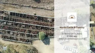 Welcome to Monto Cattle & Country