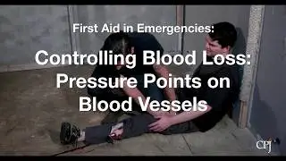 7a. Controlling Blood Loss: Pressure Points Along Blood Vessels
