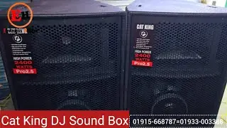 Cat King 18