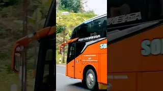 bus tronton #basuribussid #videoshort #fyp