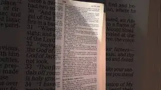 Acts 7 #books #Jesus #bible #booktok #life #wisdom #devotional #free #love #foryoupage #explorepage