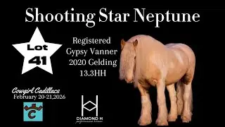 Shooting Star Neptune Official Short Video