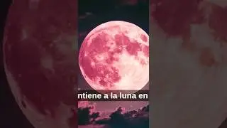 22 de julio 2025 &ldquo;Newton, Einstein y&hellip; &iquest;el error invisible?&rdquo;
