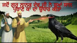 ਲੱਖਾਂ ਸਾਲ ਪੁਰਾਣੇ ਕਾਂ ਦਾ ਉਧਾਰ | JADO GURU NANAK DEV JI NE LAKHA SAAL PURAANE KAA DA UDHAAR KITA