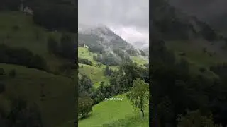 When the Rain Paints the Scenery Softer. #swissscenery #shortfeed #nature
