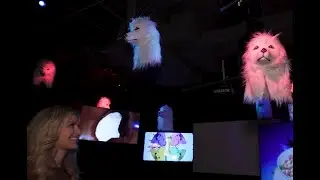 Two NYC Exhibits That Are Paw-fect For Dog Lovers | New York Live TV