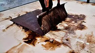 How to save a carpet in a terrible condition: a guide from the Clean Lublin team | Speeded Up