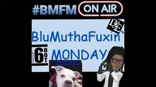 #BluMuthaF____gM0NDAY [audio AD 2024] #interviewer #Reviewer Vlogger | Blogger | Toronto Ontario 416