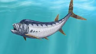Xiphactinus Sound Effect