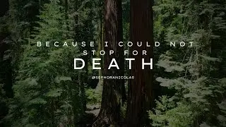 Because I Could Not Stop For Death Poetry Analysis