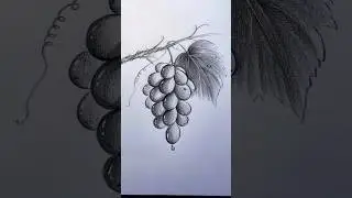 Grapes shading #drawing #grape #fruit #art