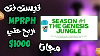 اربح حتي 1000 دولار مجاني من تيست نت morph | ارباح وهميه مجانيه