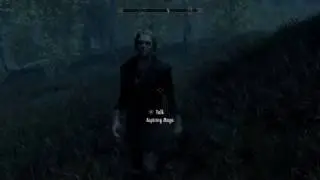 Skyrim - Aspiring Mage (Random Encounter)