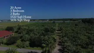 Palms of Paradise  - 44235 IH 10 West Winnie TX