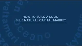 How to build a solid Blue Natural Capital Market | Blue Economy Summit 2024