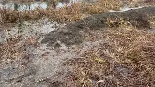 The very first WaterGuardians action