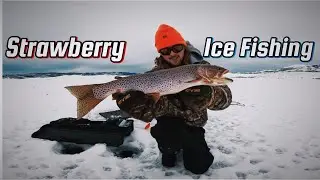 Ice Fishing Strawberry Resevior