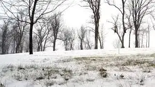 Minnesota Snow Time-lapse