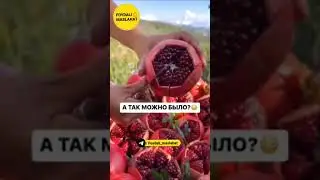 #shorts #shorts #shorts #anor mevasini chiroyli qilib kesish boʻyicha layfhak.