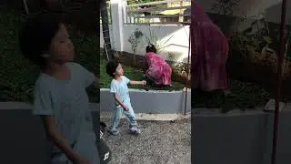 Garden Serye | Plantbox Final Part!