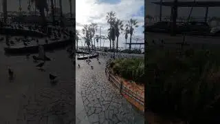 Tel Aviv #live #video #israel #tv #telavivcity